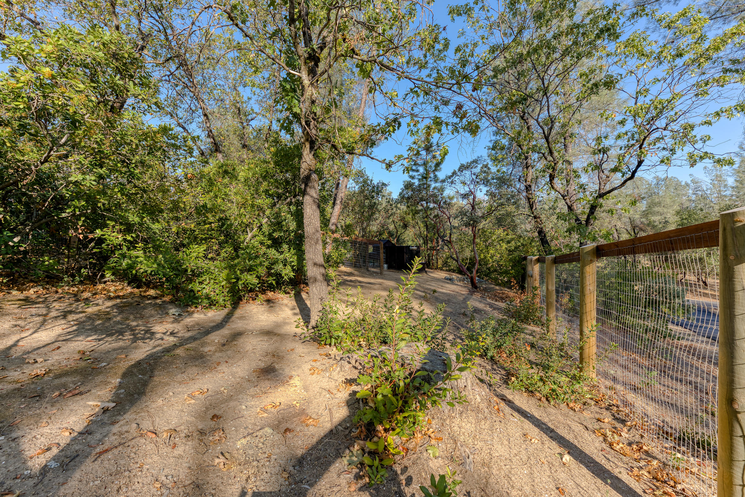 10163 Tilton Mine Road Redding, CA 96001 - Photo 125 of 144 Fenced Chicken Coop Area