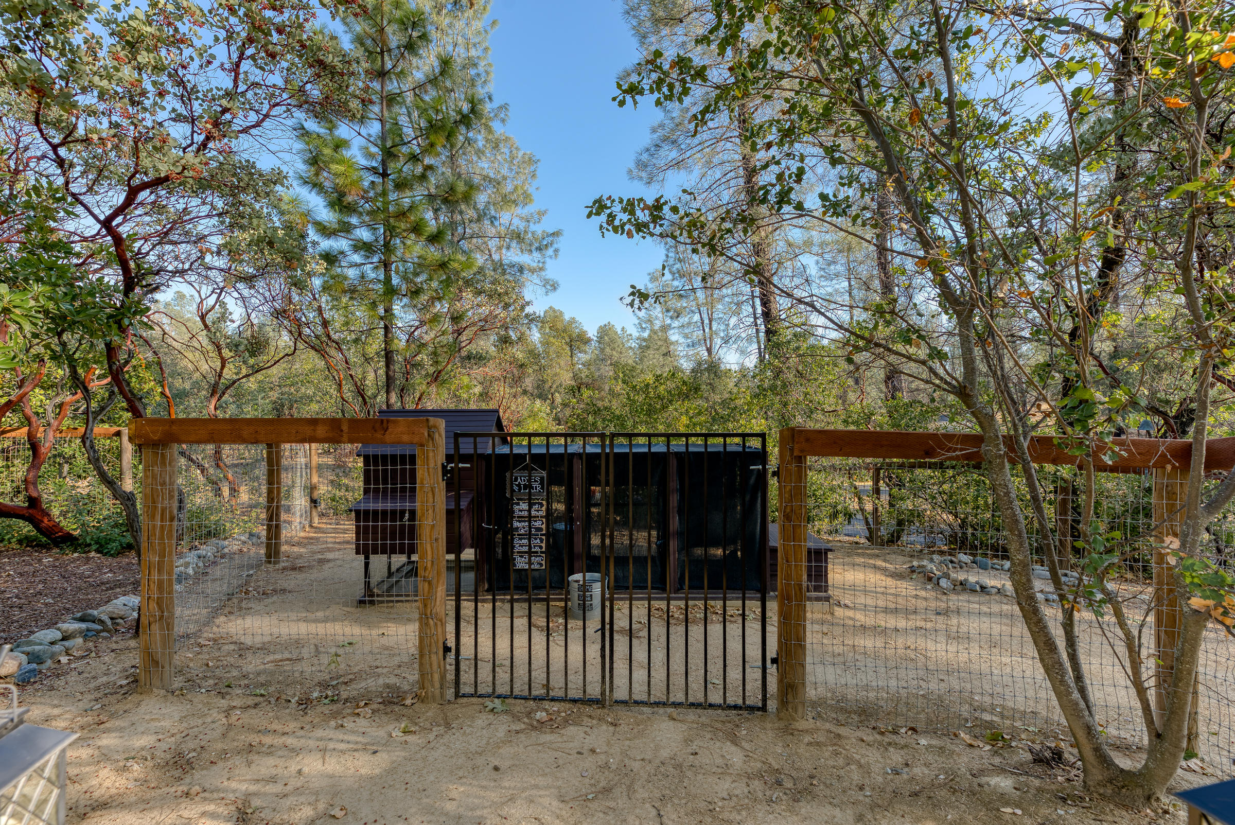 10163 Tilton Mine Road Redding, CA 96001 - Photo 44 of 144 Fenced Chicken Coop Area
