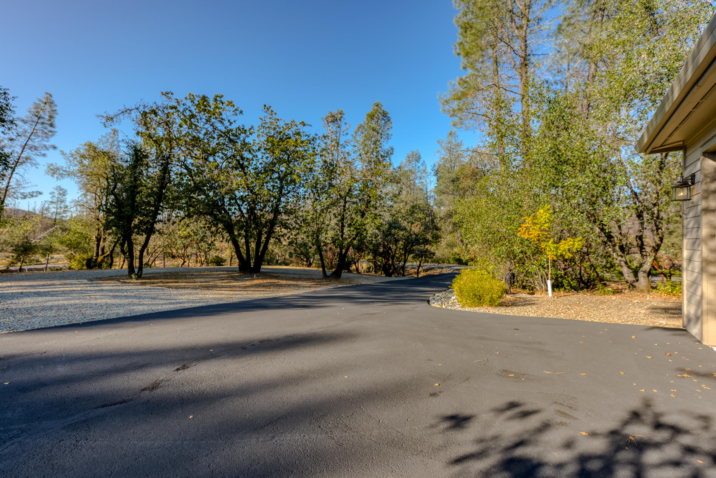 10163 Tilton Mine Road Redding, CA 96001 - Photo 100 of 144 a view of a yard with large trees
