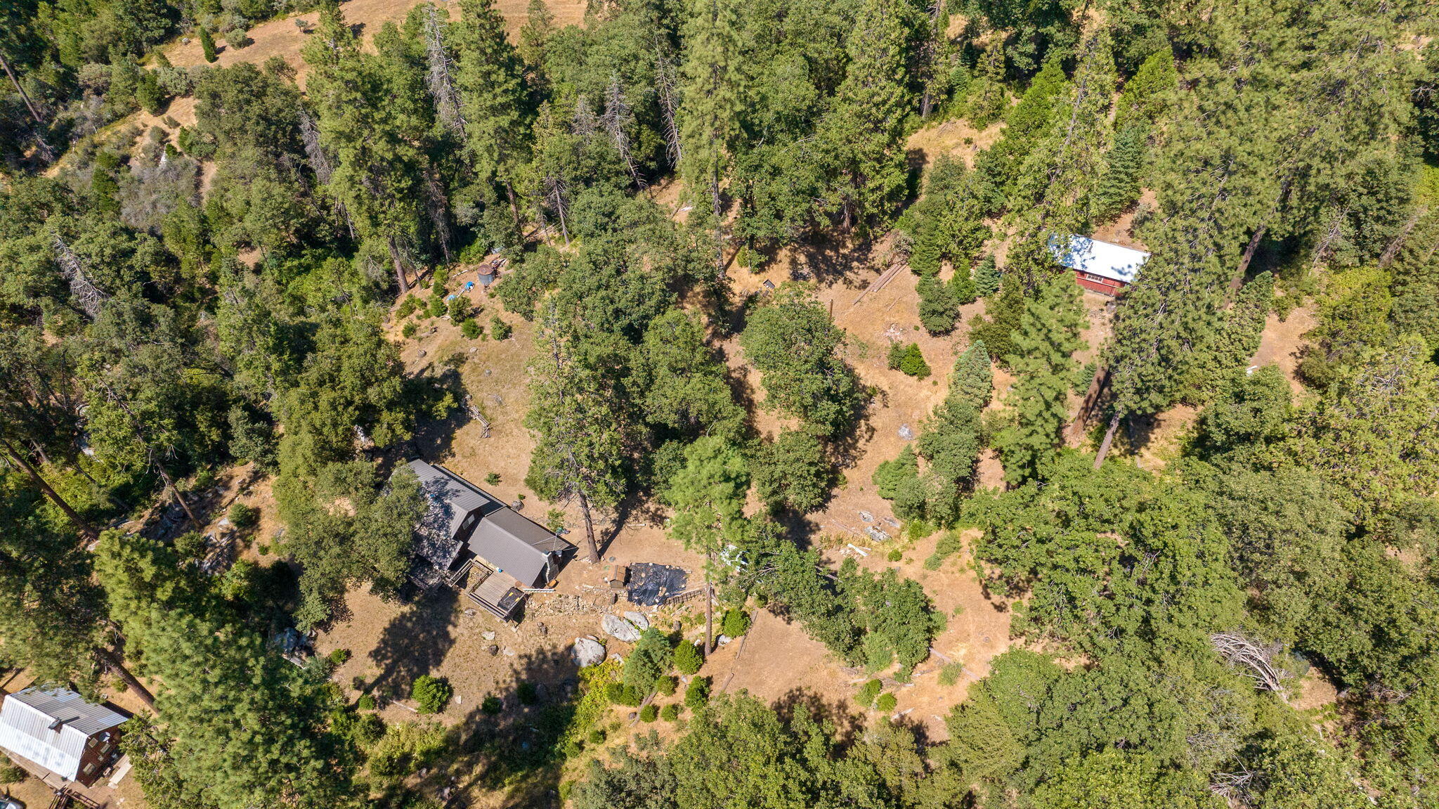 48675 Todd Eymann Road Miramonte, CA 93641 - Photo 103 of 103 102-web-or-mls-70-print-DJI_202408051447