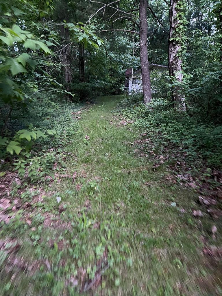 152 Ramblewood Road Chilhowie, VA 24319 - Photo 33 of 36 Gallery Image 33