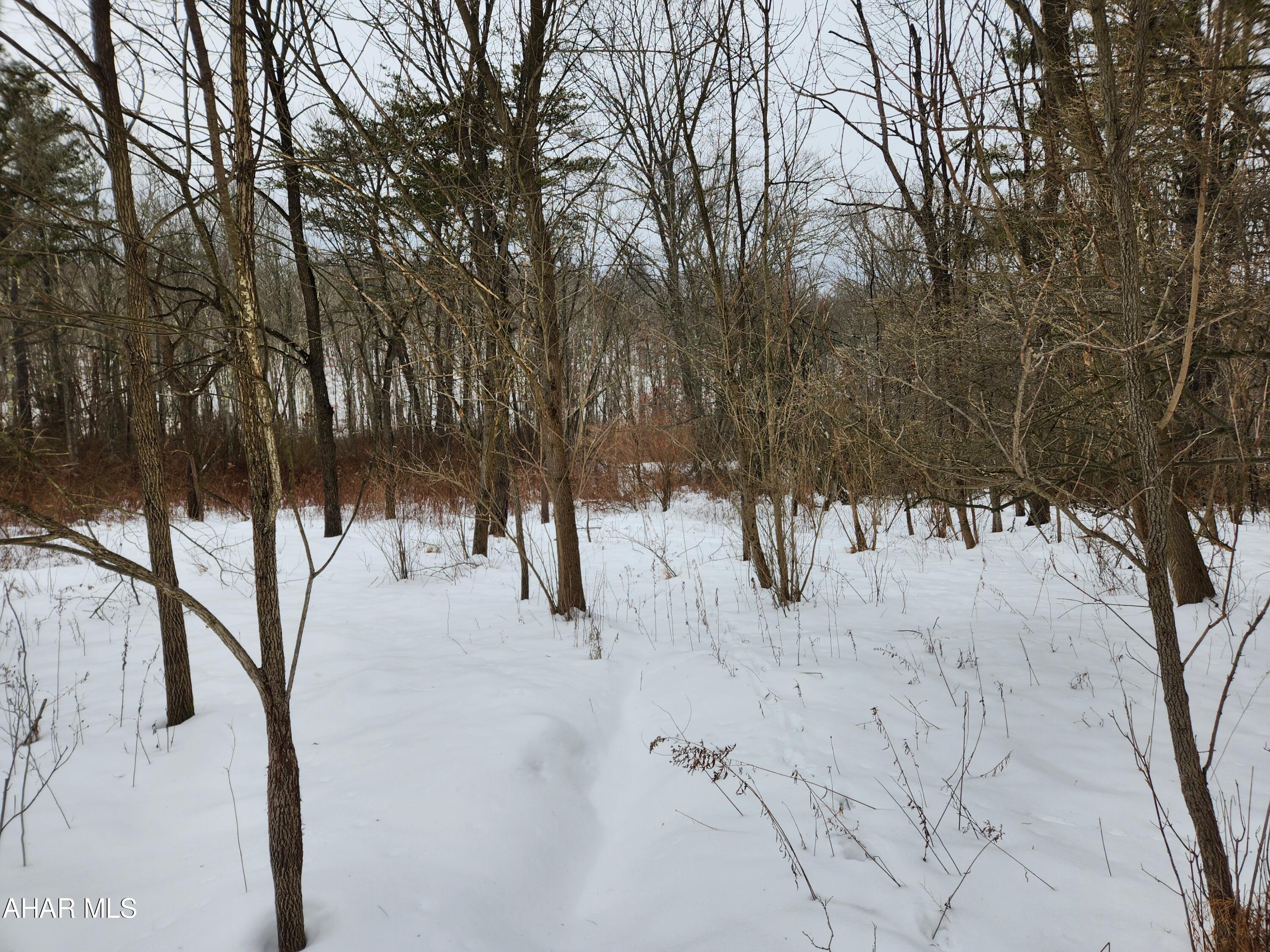 Off Pensyl Hollow Road Bedford, PA 15522 - Photo 5 of 19 Gallery Image 5
