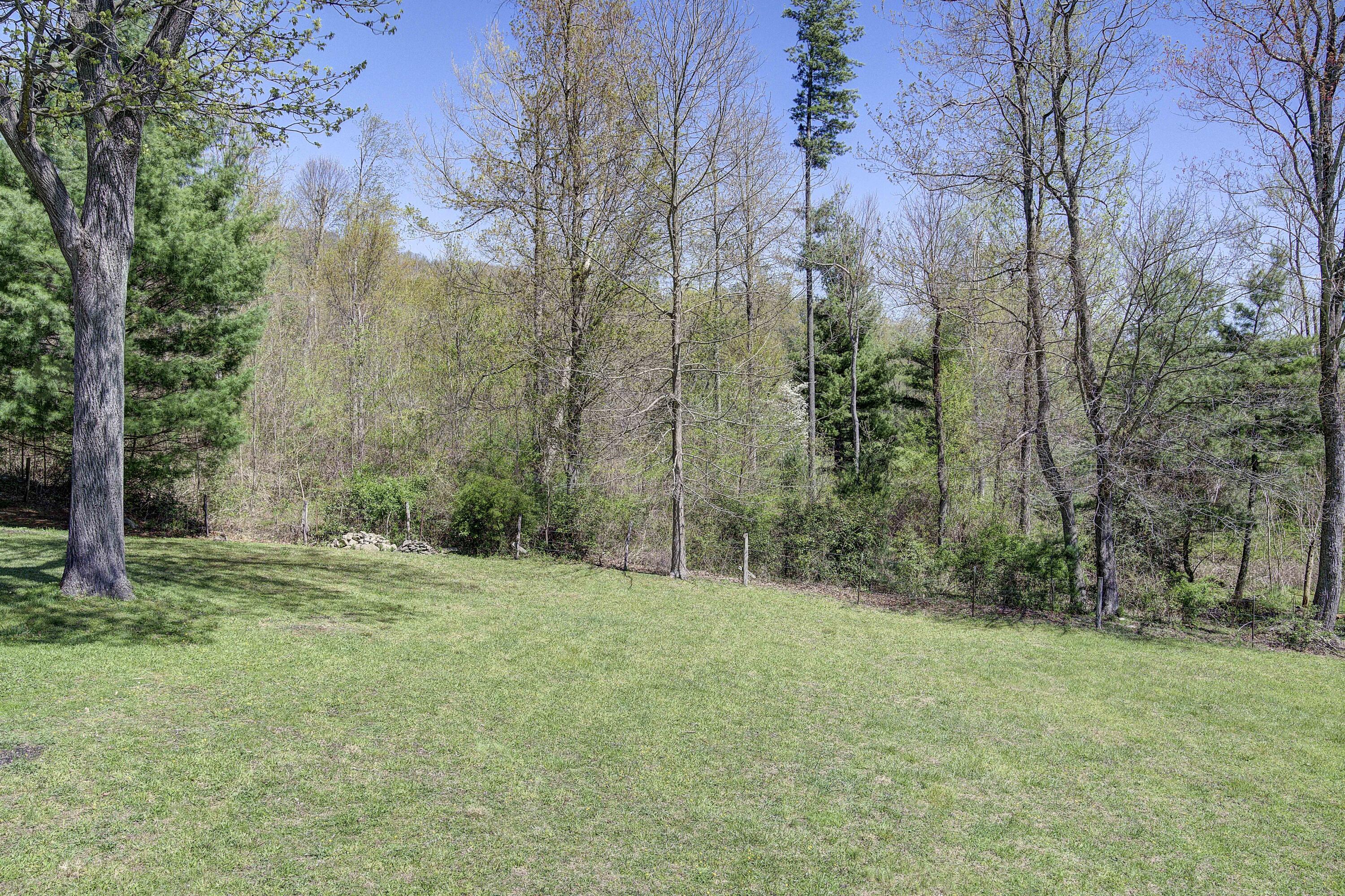 486 Escape Mountain Road Hampton, TN 37658 - Photo 39 of 48 Escape-65