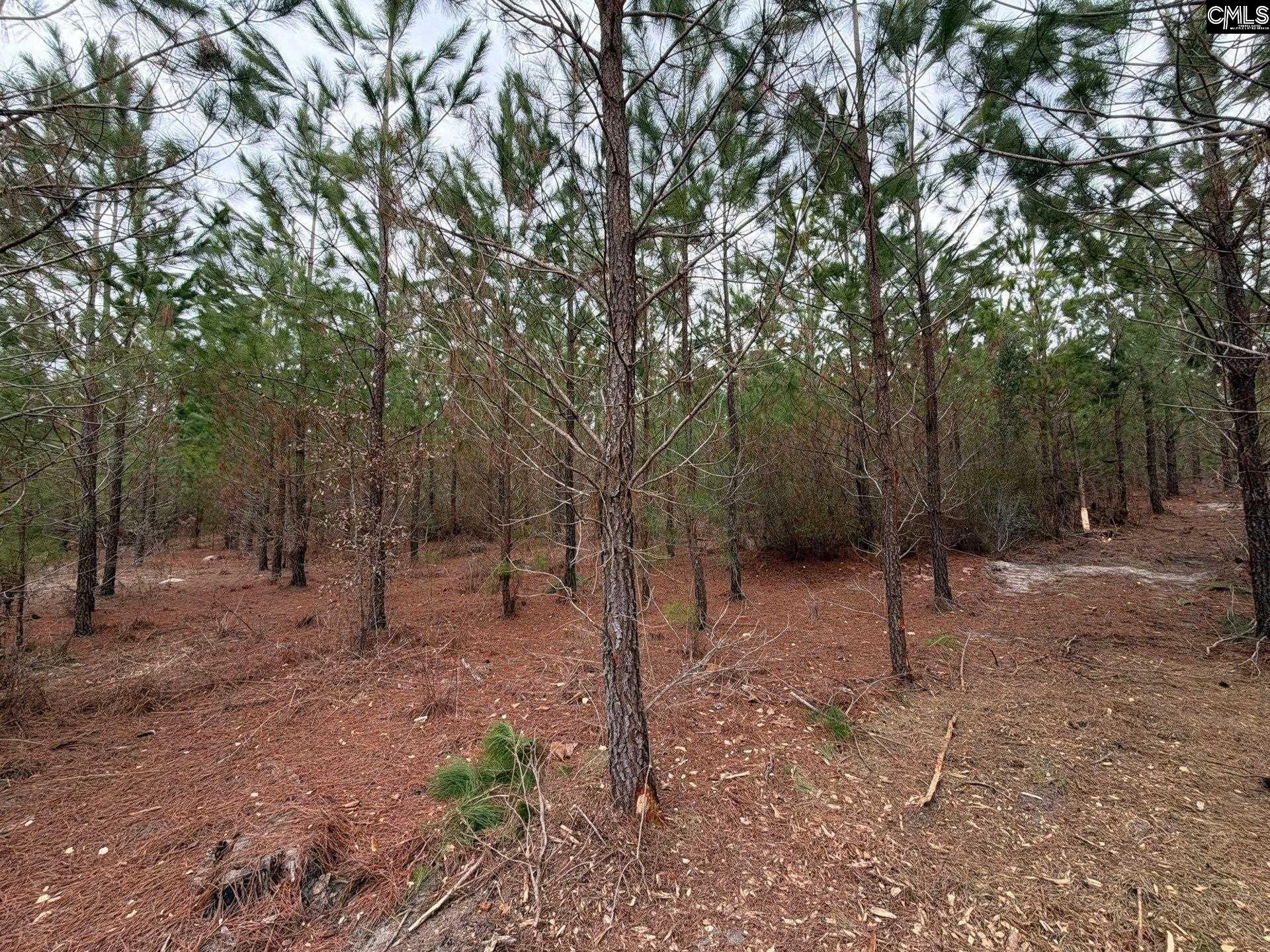 3 Jc Barefoot Road, Unit BFF II 3 Patrick, SC 29584 - Photo 6 of 23
