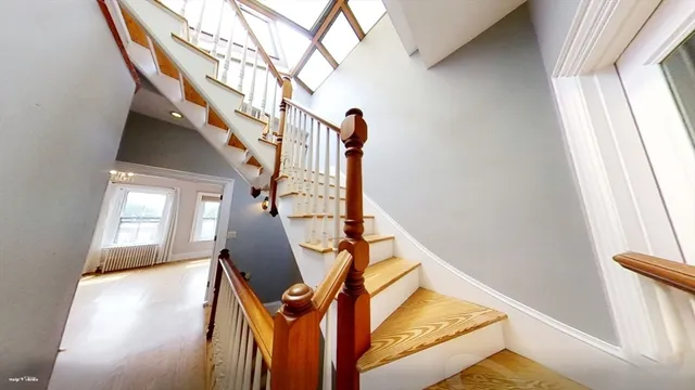 a view of a yard with plants and trees