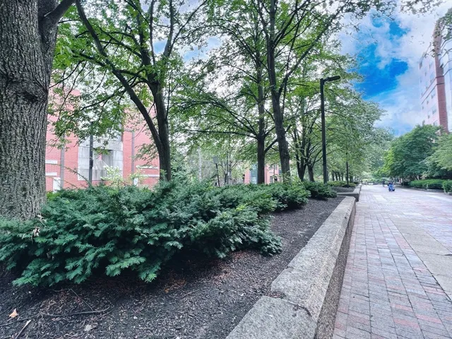 $6,500 | 34 Yarmouth Street, Unit 4, Boston, MA 02116