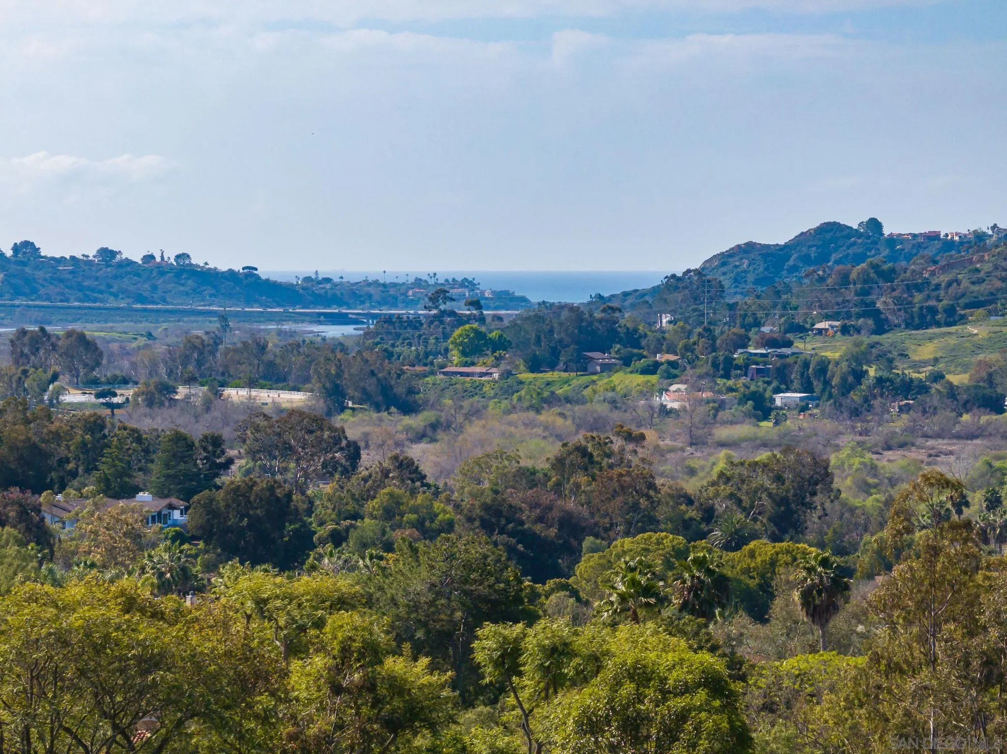 a view of a bunch of trees and houses