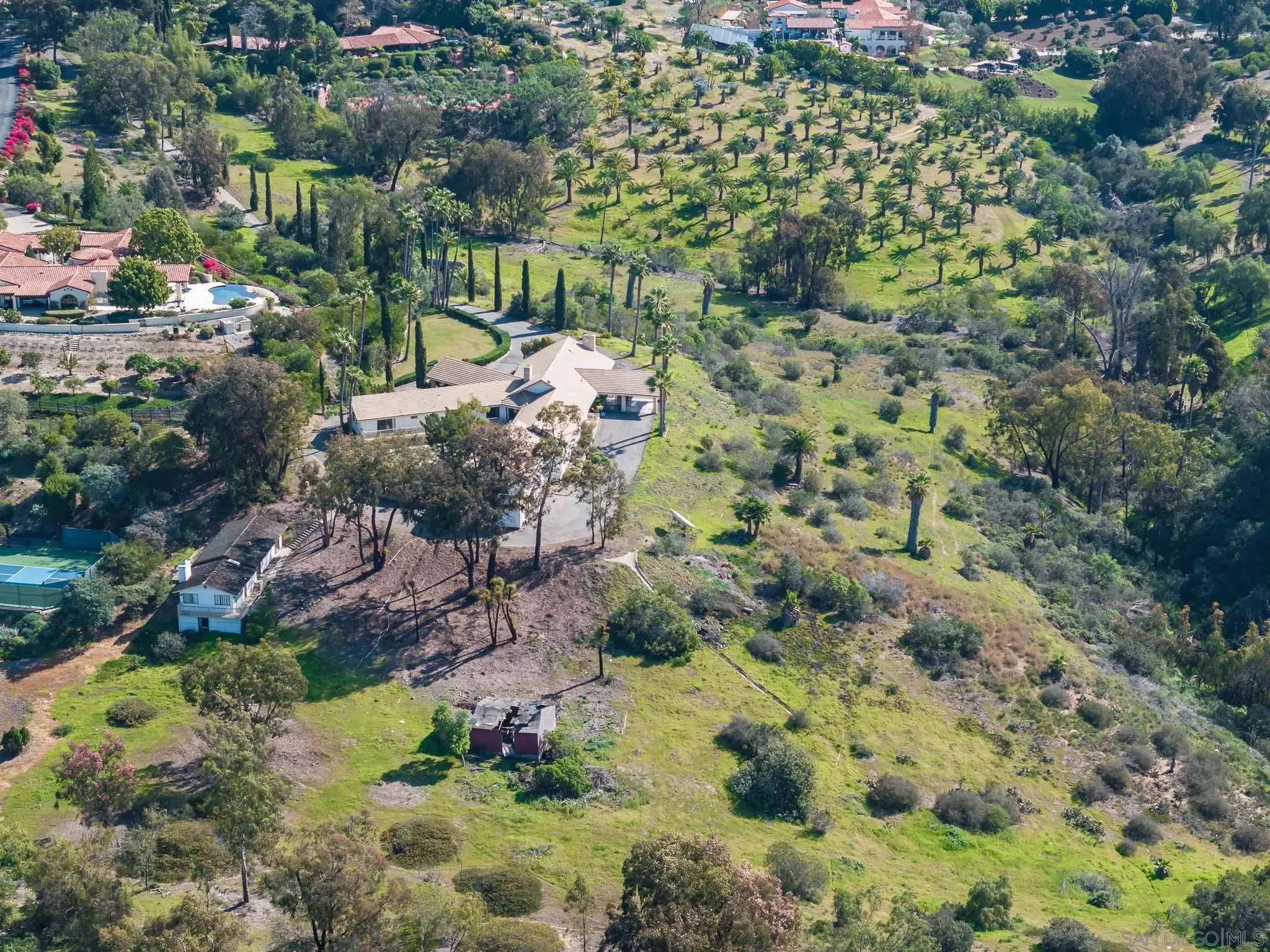 18024 Avenida Alondra Rancho Santa Fe, CA 92067 - Photo 18 of 25 a view of a garden with flowers
