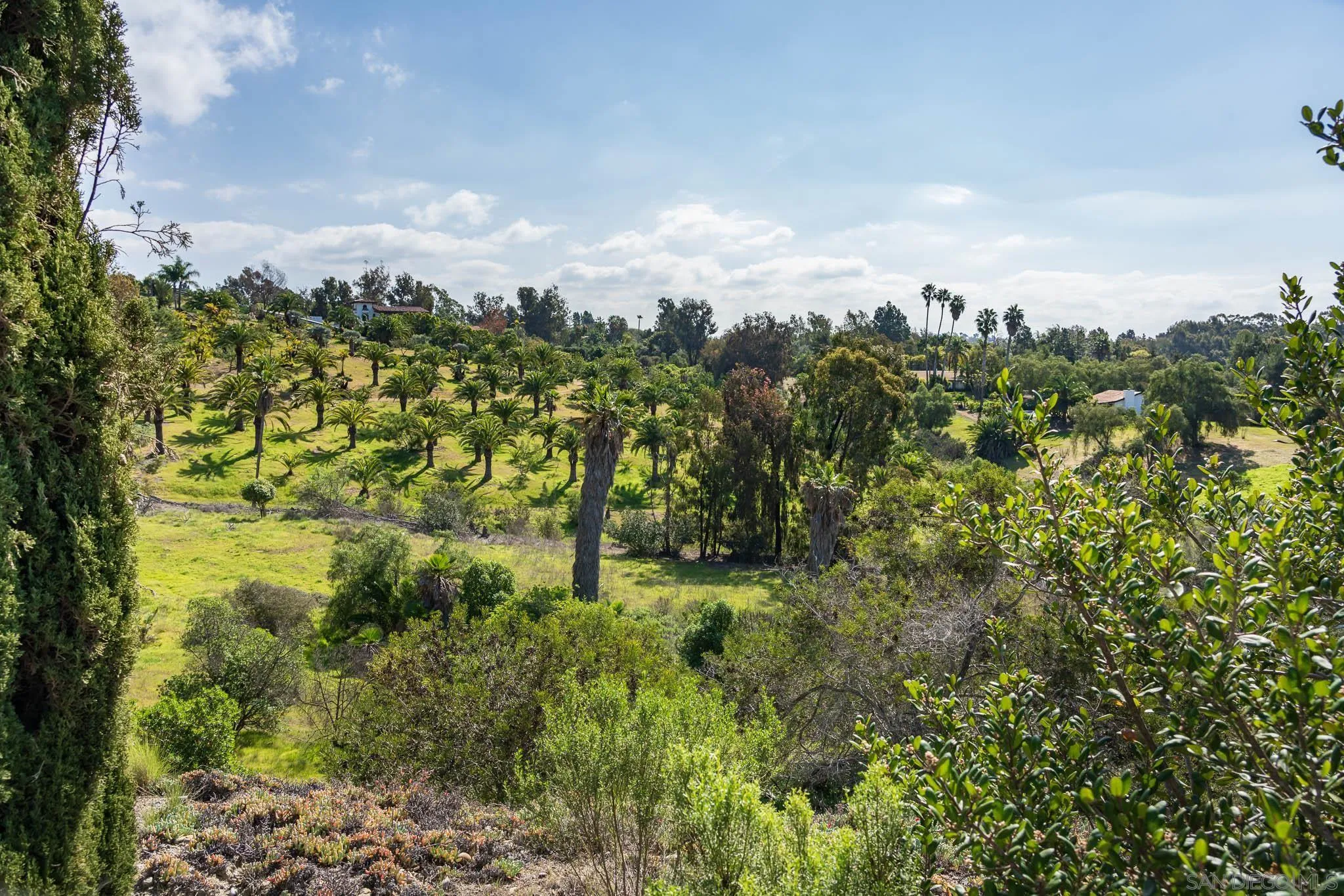 18024 Avenida Alondra Rancho Santa Fe, CA 92067 - Photo 19 of 25 a view of a city