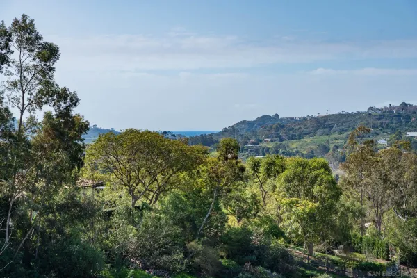 an aerial view of mountain and trees