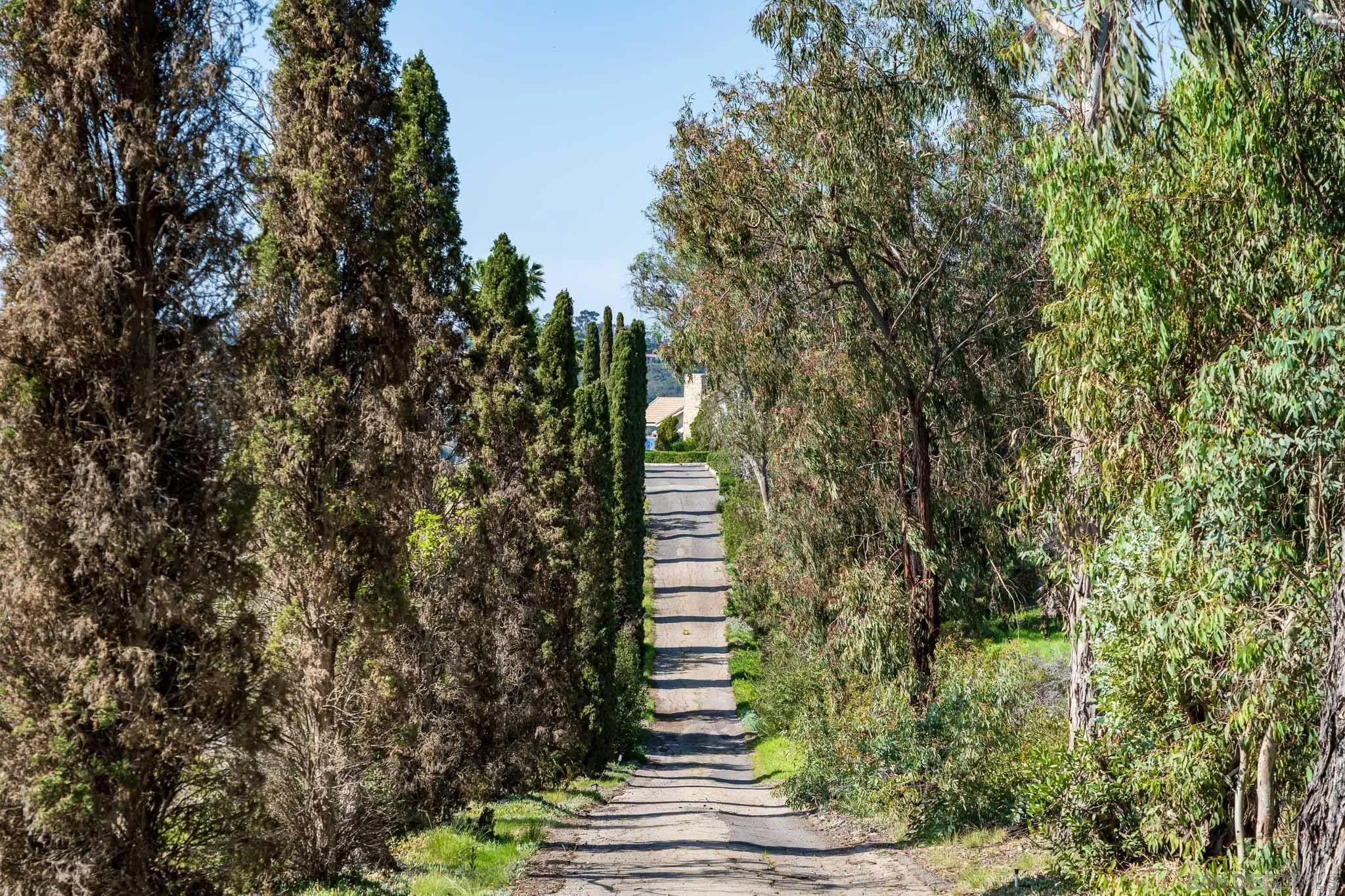 18024 Avenida Alondra Rancho Santa Fe, CA 92067 - Photo 2 of 25 a view of outdoor space and yard
