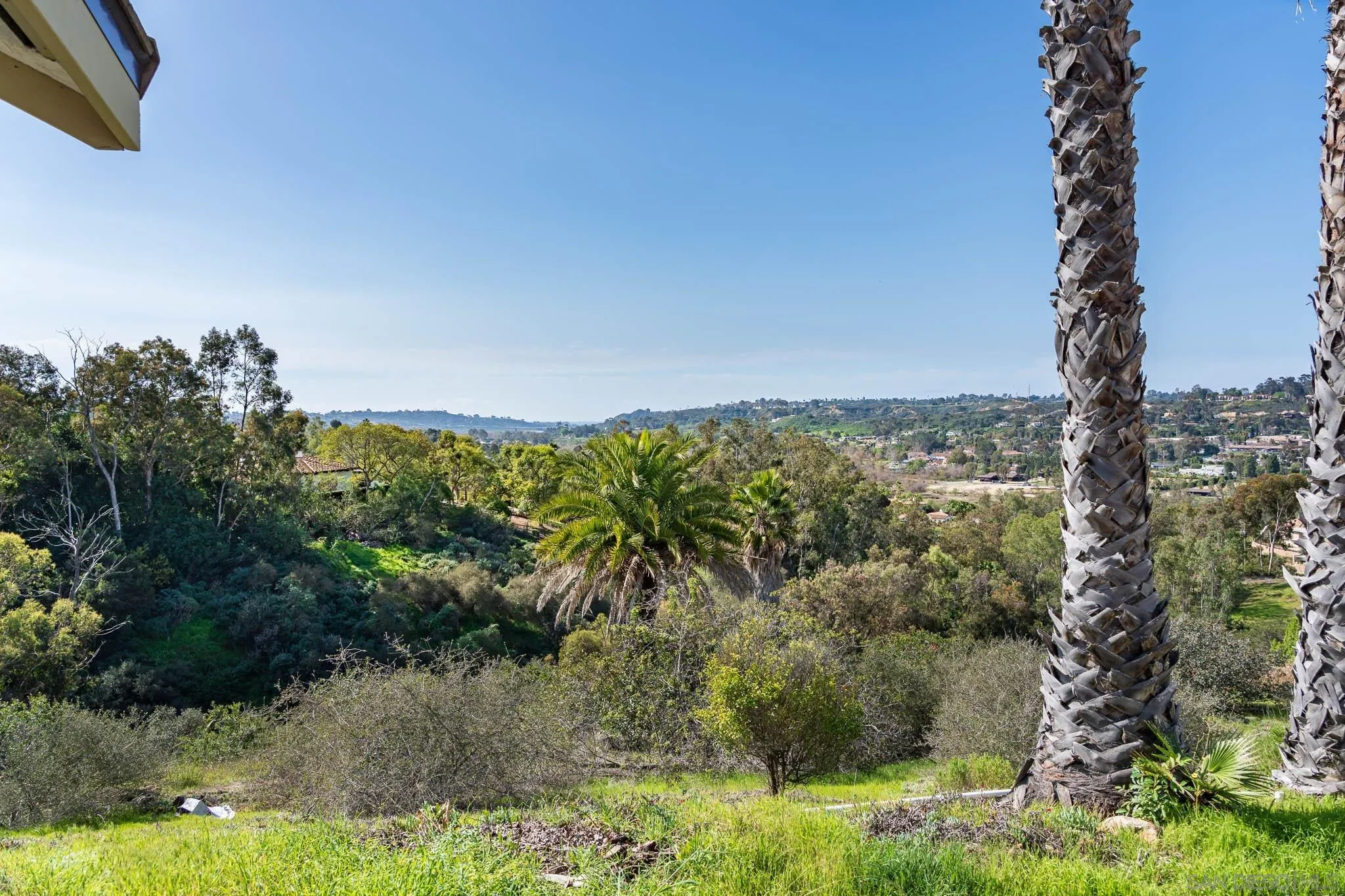 18024 Avenida Alondra Rancho Santa Fe, CA 92067 - Photo 21 of 25 a view of a yard