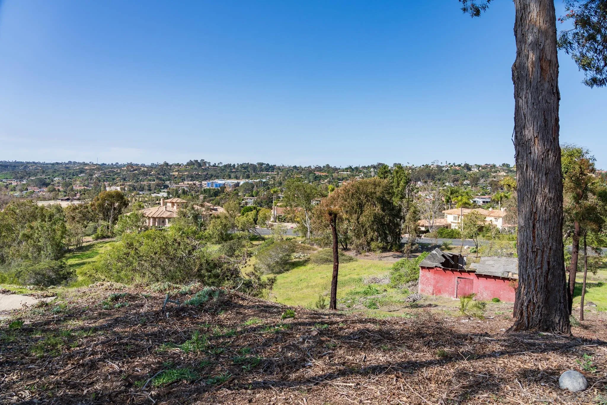 18024 Avenida Alondra Rancho Santa Fe, CA 92067 - Photo 22 of 25 a view of a park with large trees