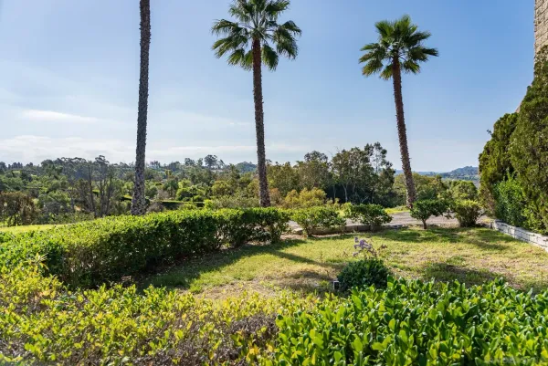 a view of a garden with a tree