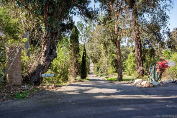 a view of a yard with plants and trees
