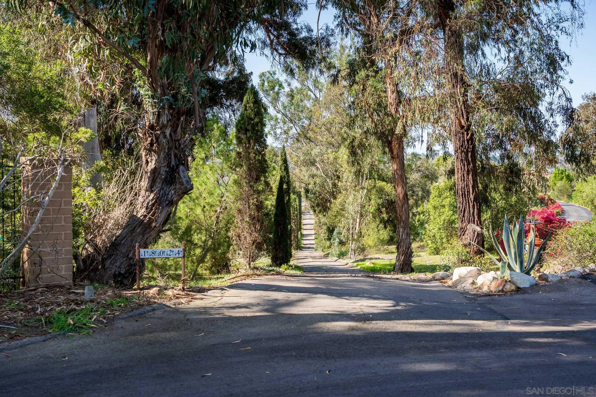 18024 Avenida Alondra Rancho Santa Fe, CA 92067 - Photo 3 of 25 a view of a yard with plants and trees