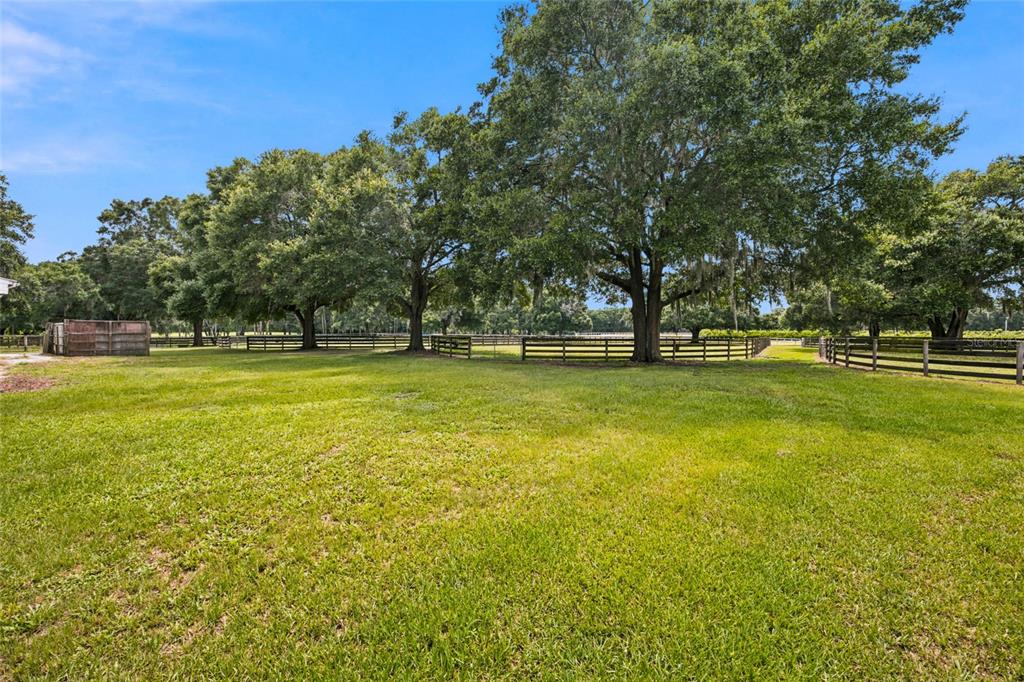 3825 Northwest 160th Street Reddick, FL 32686 - Photo 28 of 71