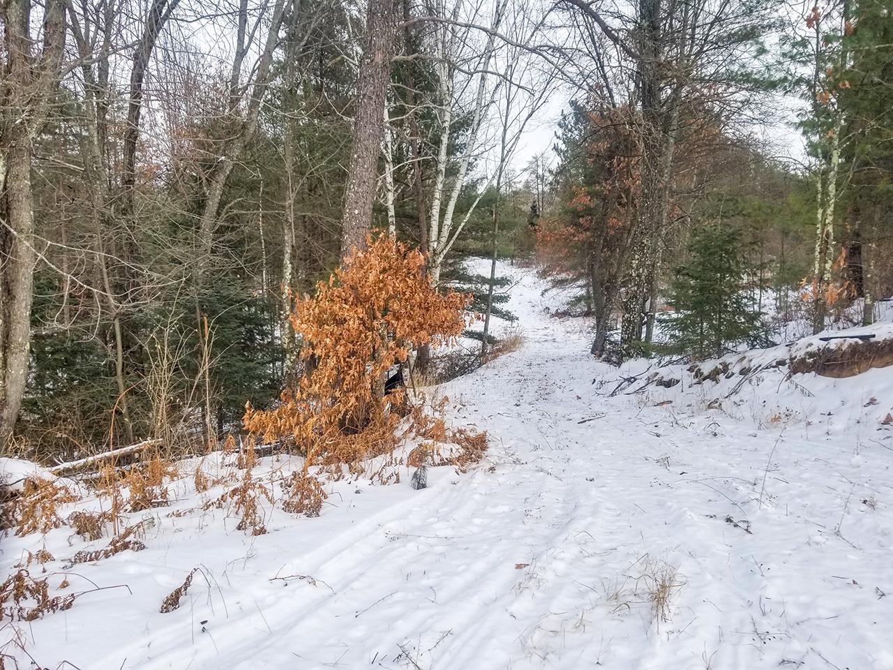 N11243 Schmidtbauer Road Tomahawk, WI 54487 - Photo 13 of 25 Gallery Image 13