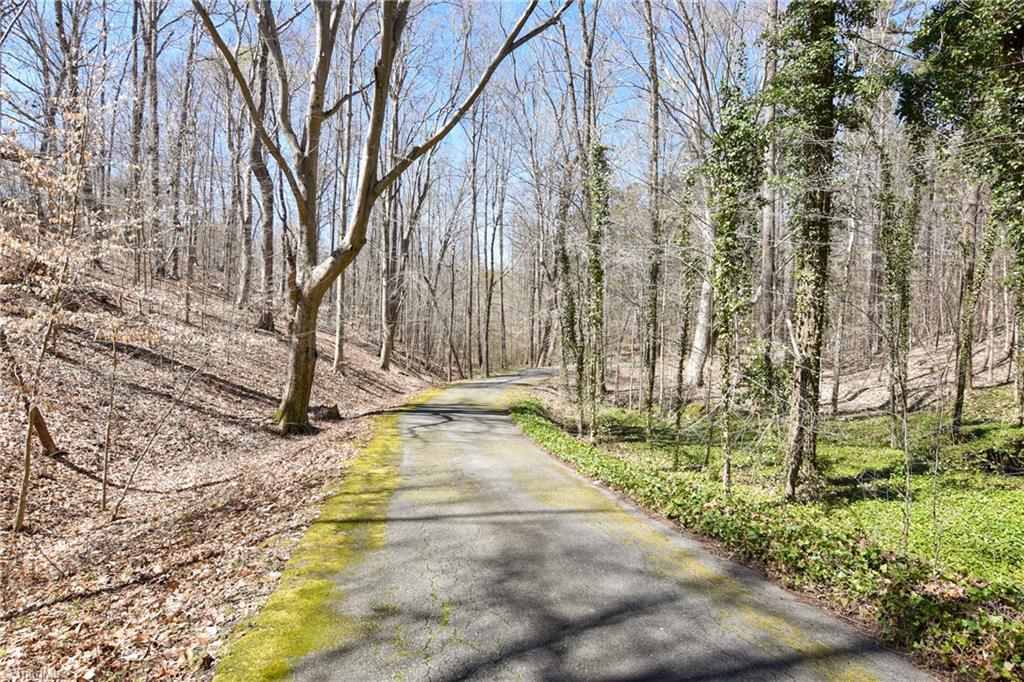 4840 Bent Ridge Lane Clemmons, NC 27012 - Photo 41 of 41 Private, winding drive to residence