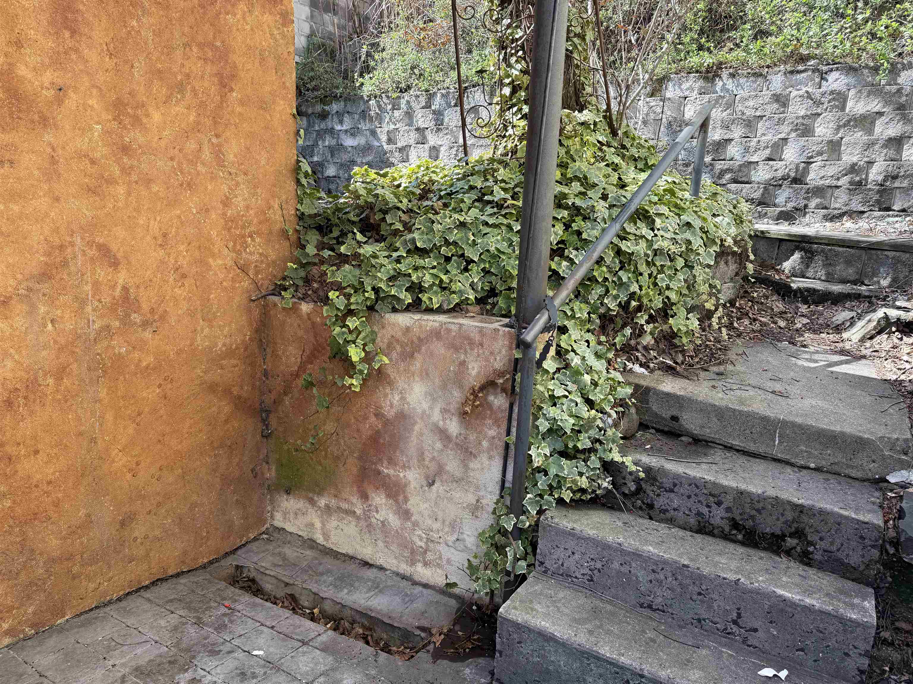 9007 Riverside Place, Unit 3 North Bergen, NJ 07047 - Photo 16 of 18 a view of a garden with plants
