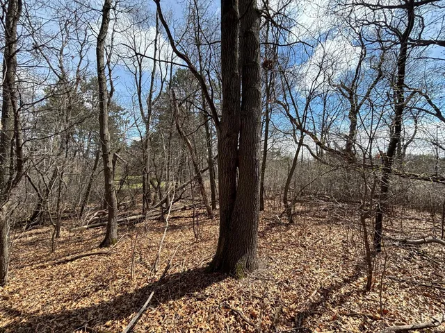 $95,000 | Xxx East Viking Boulevard, Wyoming, MN 55092