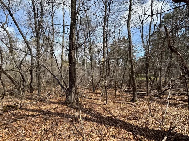 $95,000 | Xxx East Viking Boulevard, Wyoming, MN 55092