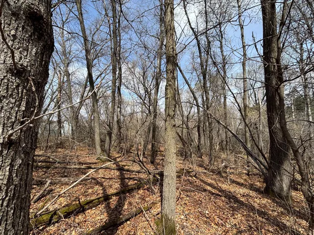 $95,000 | Xxx East Viking Boulevard, Wyoming, MN 55092