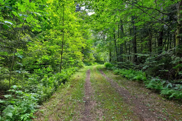 $1,250,000 | 96 Tabor Road, Shrewsbury, VT 05738