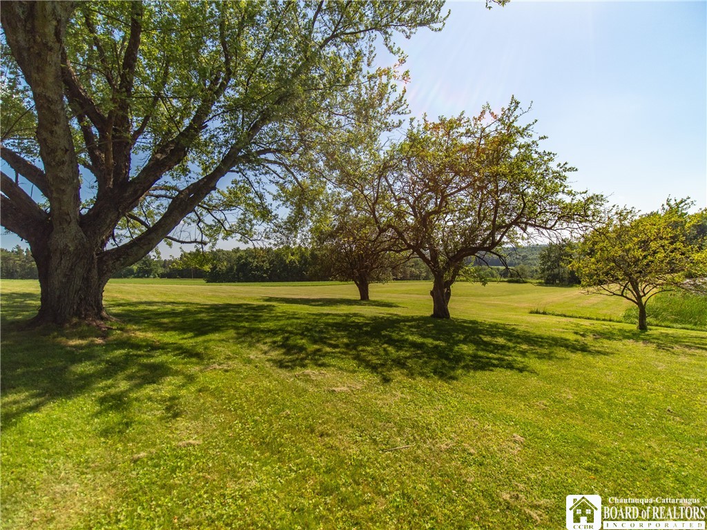 179 Robbin Hill Road Carroll, NY 14738 - Photo 11 of 50