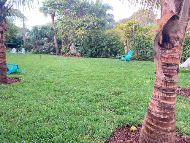 a view of a garden with a fountain