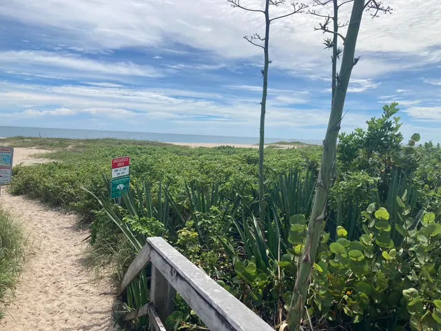 a view of a yard with an tree