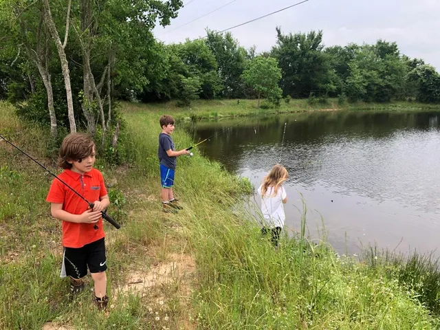 $150,000 | Lot 2 County Road 166, Iola, TX 77861