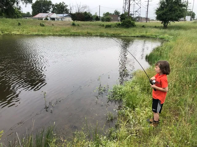 $150,000 | Lot 2 County Road 166, Iola, TX 77861