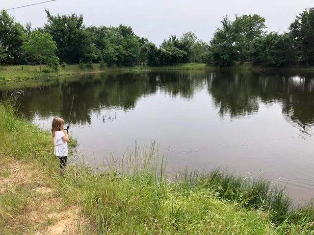 $150,000 | Lot 2 County Road 166, Iola, TX 77861