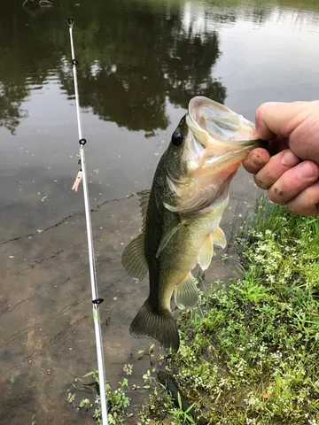 $150,000 | Lot 2 County Road 166, Iola, TX 77861