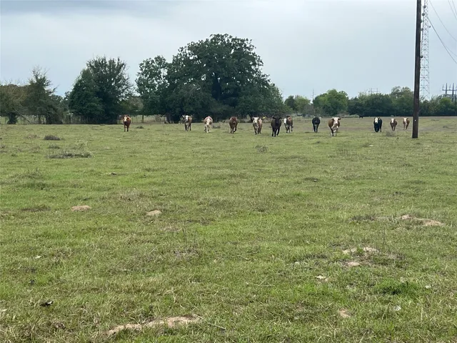 $150,000 | Lot 2 County Road 166, Iola, TX 77861