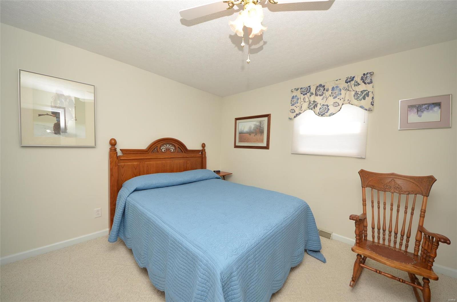 9034 Hawk Road Nashville, IL 62263 - Photo 22 of 28
