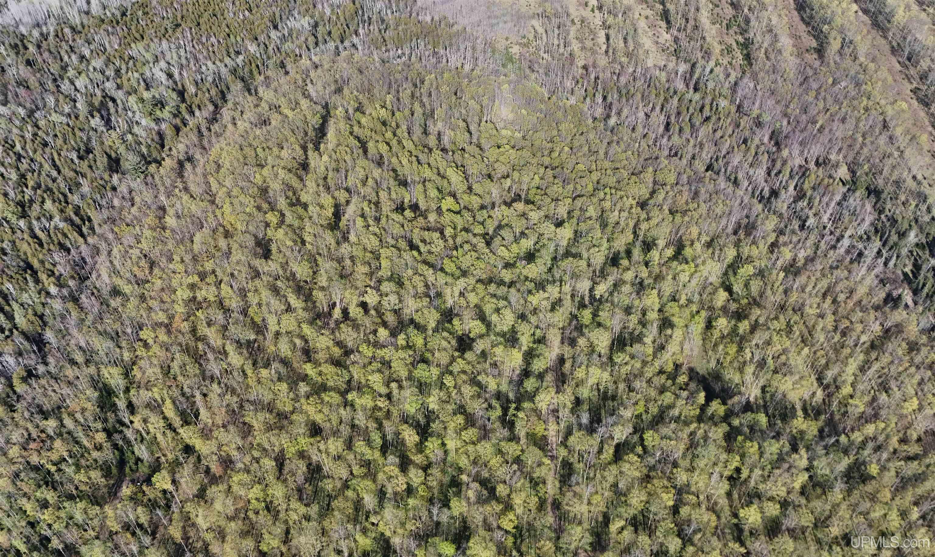 Tbd County Line Road Hermansville, MI 49847 - Photo 2 of 20