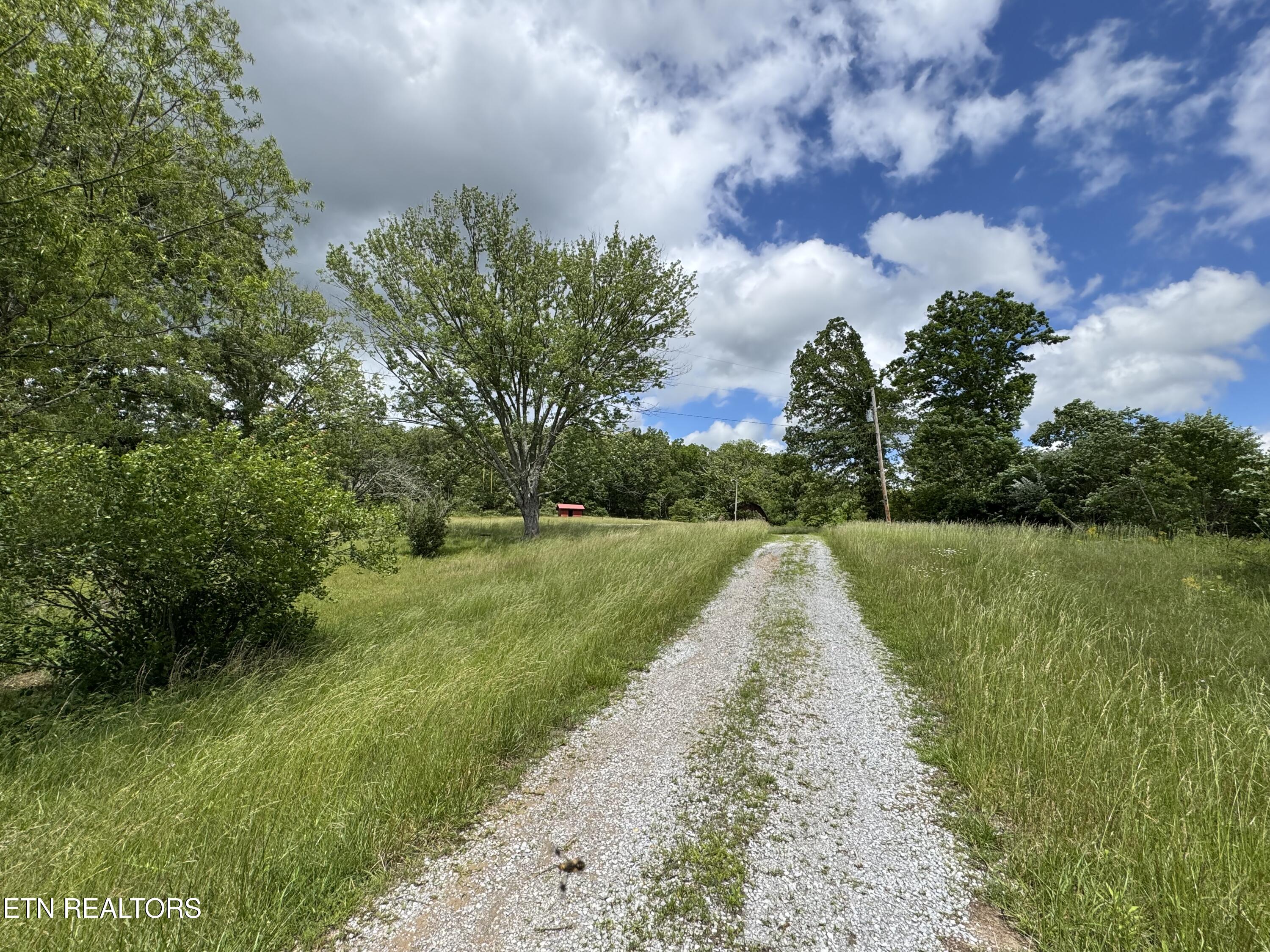 275 Big Spring Gap Road Pikeville, TN 37367 - Photo 1 of 8 IMG_6117