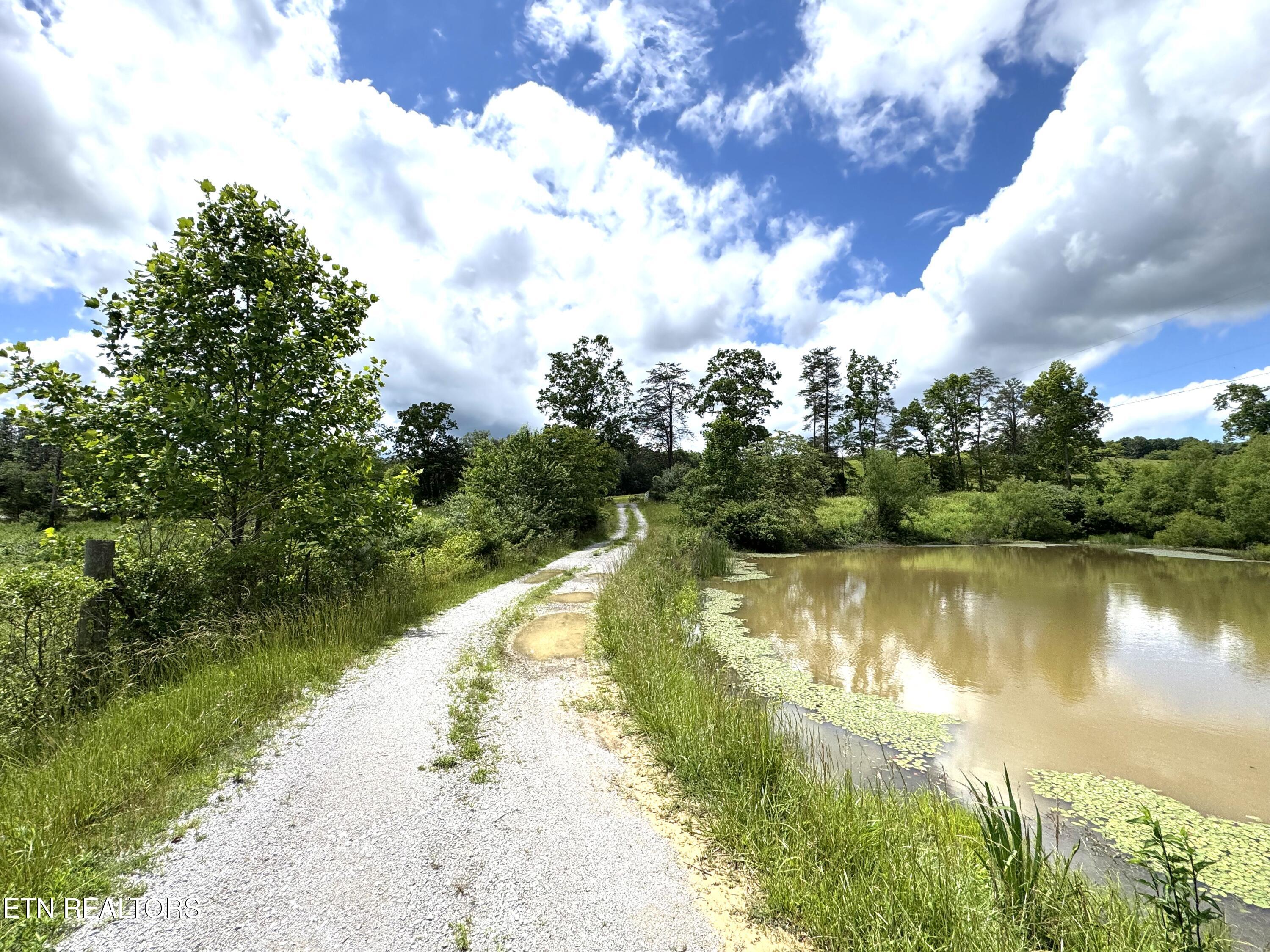 275 Big Spring Gap Road Pikeville, TN 37367 - Photo 2 of 8 IMG_6116