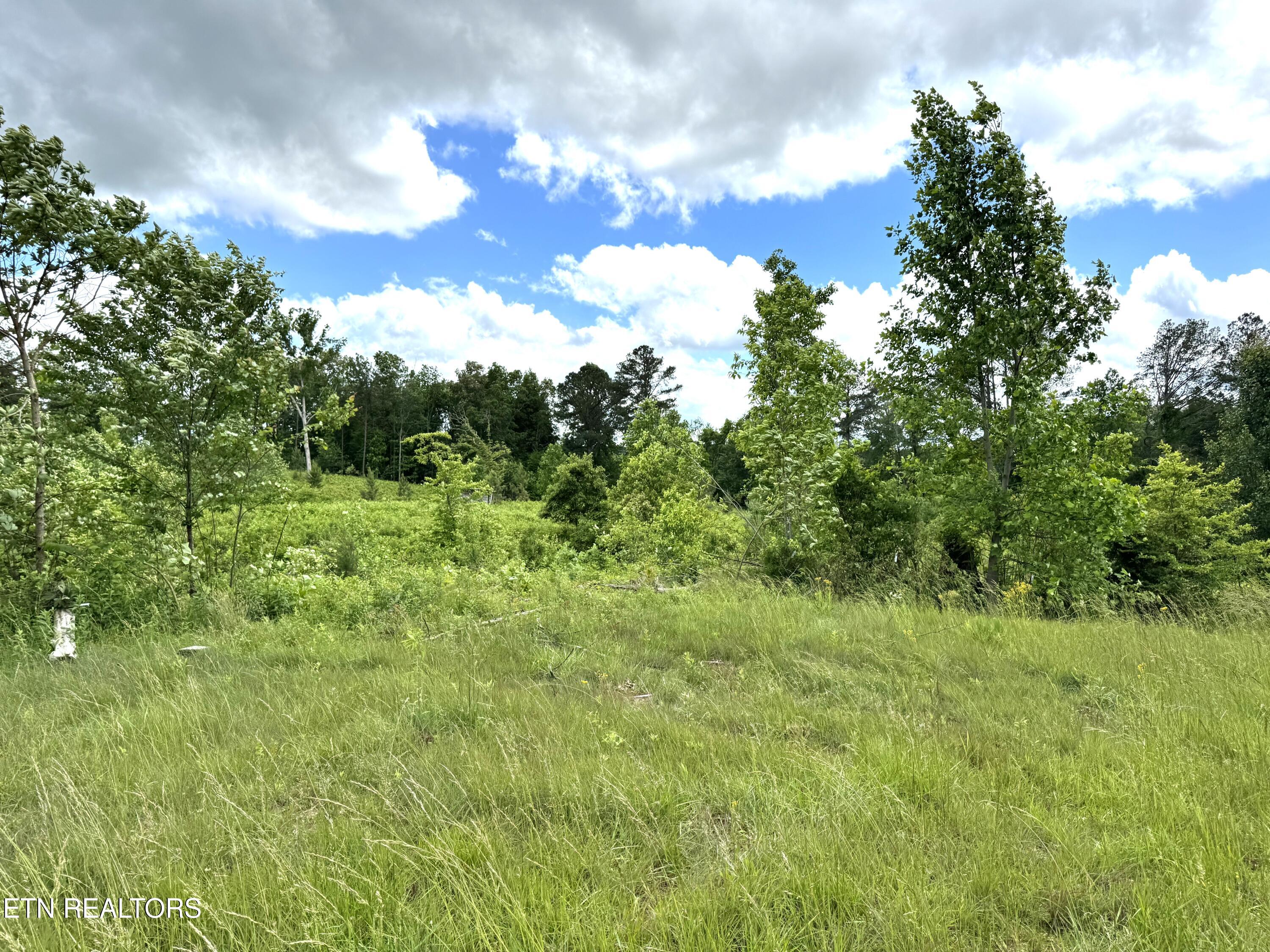 275 Big Spring Gap Road Pikeville, TN 37367 - Photo 6 of 8 IMG_6113