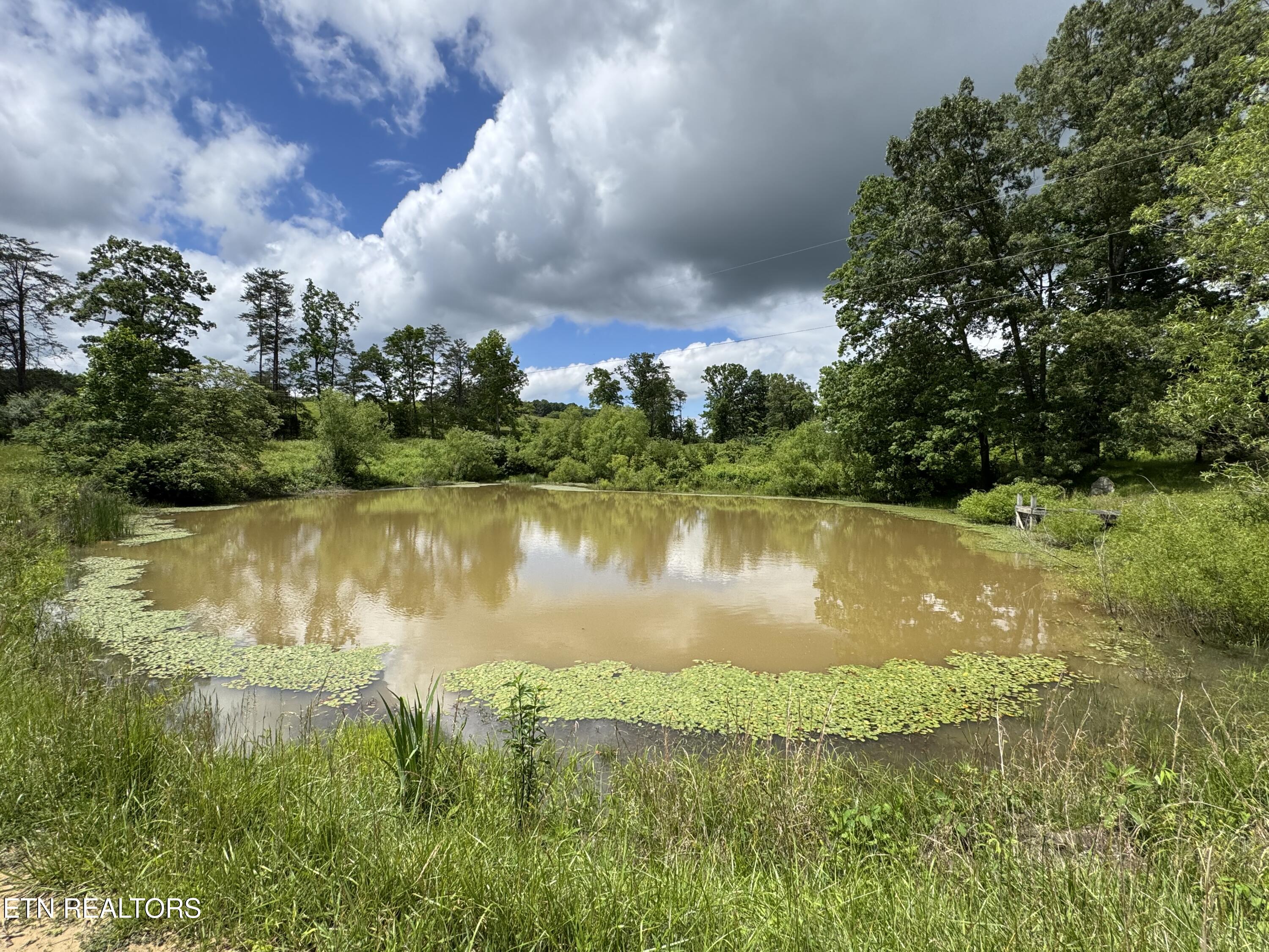 275 Big Spring Gap Road Pikeville, TN 37367 - Photo 8 of 8 IMG_6115