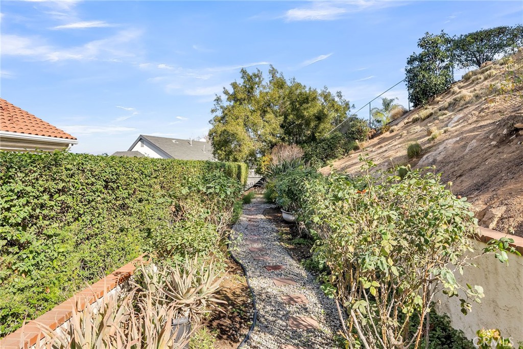2572 Sunset Drive Riverside, CA 92506 - Photo 47 of 63 a view of a garden with plants and large trees