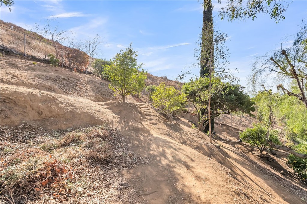 2572 Sunset Drive Riverside, CA 92506 - Photo 51 of 63 a view of a yard with an trees