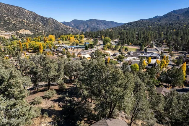 a view of a forest with mountains in the background