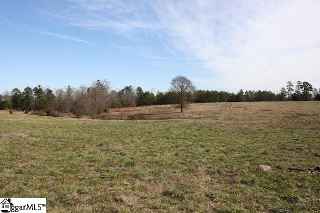 0 Burts Road Clinton, SC 29325 - Photo 11 of 17 Gallery Image 11