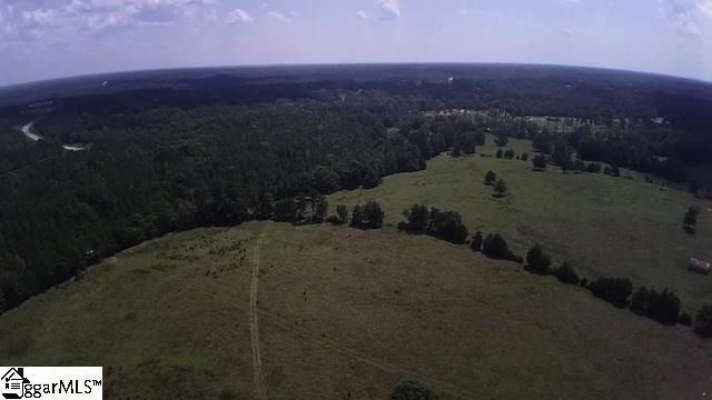 0 Burts Road Clinton, SC 29325 - Photo 15 of 17 Gallery Image 15