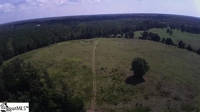 0 Burts Road Clinton, SC 29325 - Photo 16 of 17 Gallery Image 16