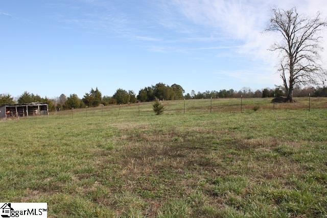 0 Burts Road Clinton, SC 29325 - Photo 17 of 17 Gallery Image 17