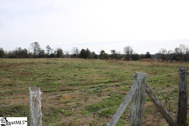 0 Burts Road Clinton, SC 29325 - Photo 3 of 17 Gallery Image 3